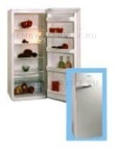 Ремонт холодильника BEKO LS 24 CB на дому