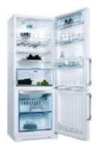 Ремонт холодильника Electrolux ENB 43391 W на дому