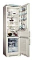 Ремонт холодильника Electrolux ERB 4024 на дому