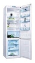 Ремонт холодильника Electrolux ERB 40402 W на дому
