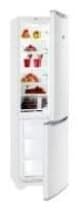 Ремонт холодильника Hotpoint-Ariston SBM 2031 на дому