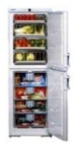 Ремонт холодильника Liebherr BGNDes 2986 на дому